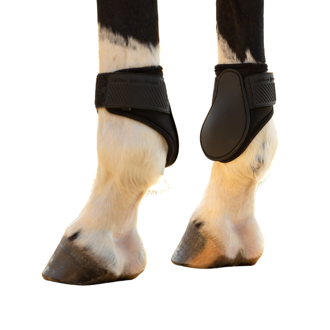 LeMieux Fetlock Boot