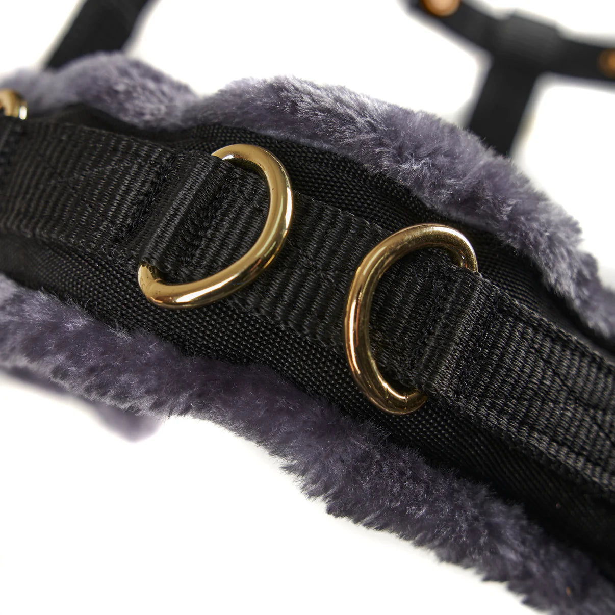 Shires Arma Fleece Lined Lunge Cavesson