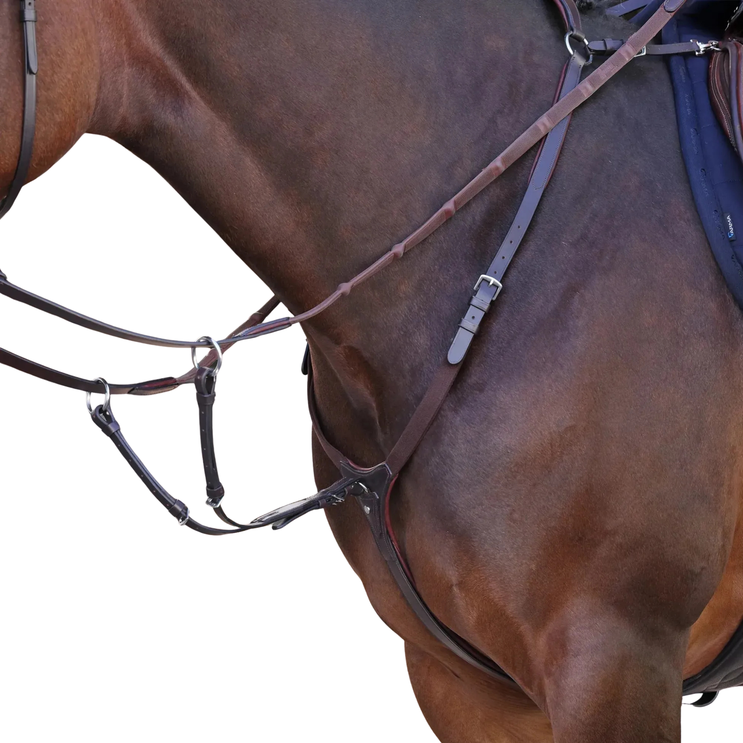 Shires Velociti LUSSO Elite Breastplate