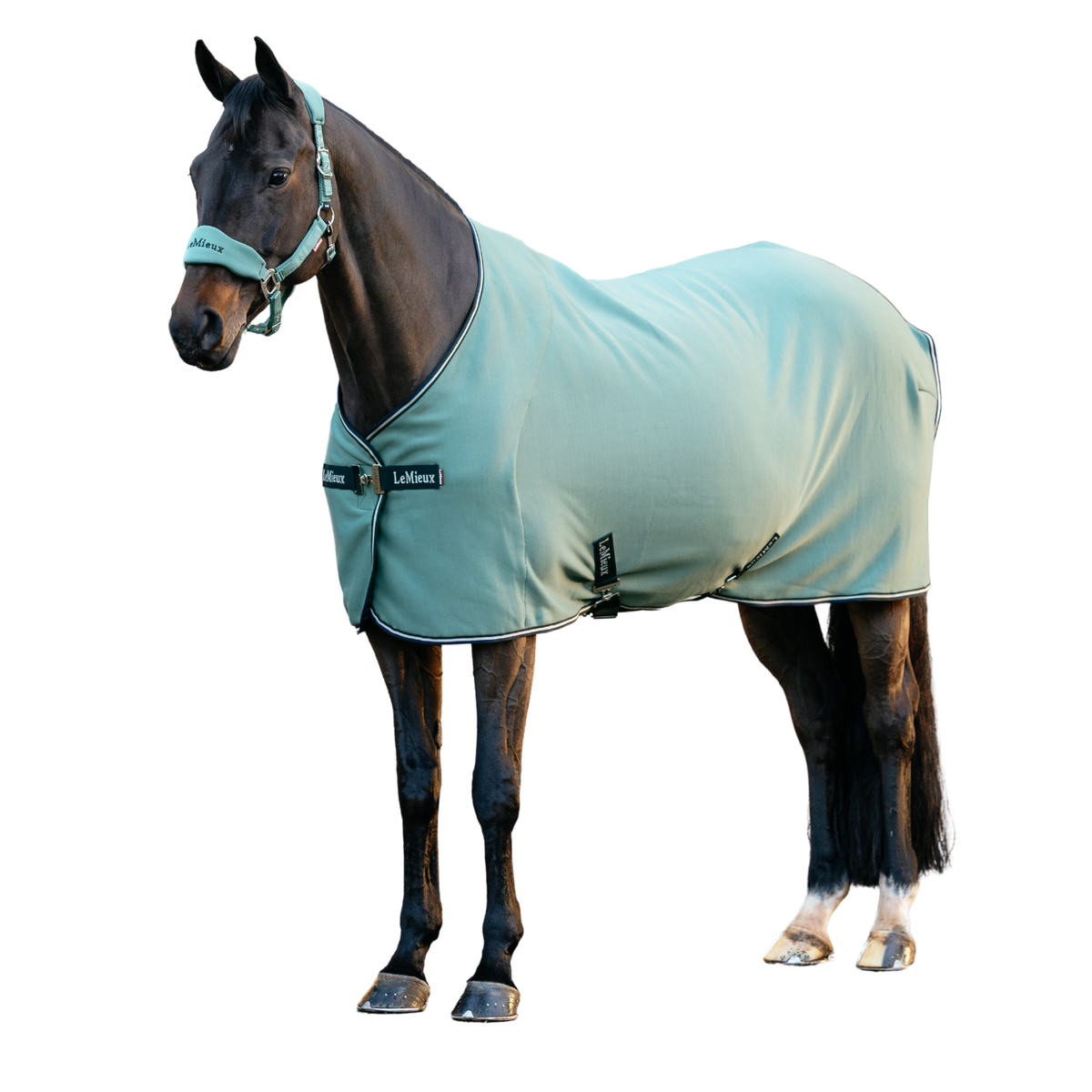 Lemieux Arika Jersey-Tek Fleece