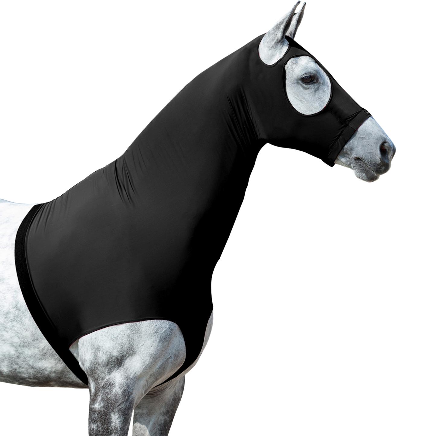LeMieux Stretch Hood