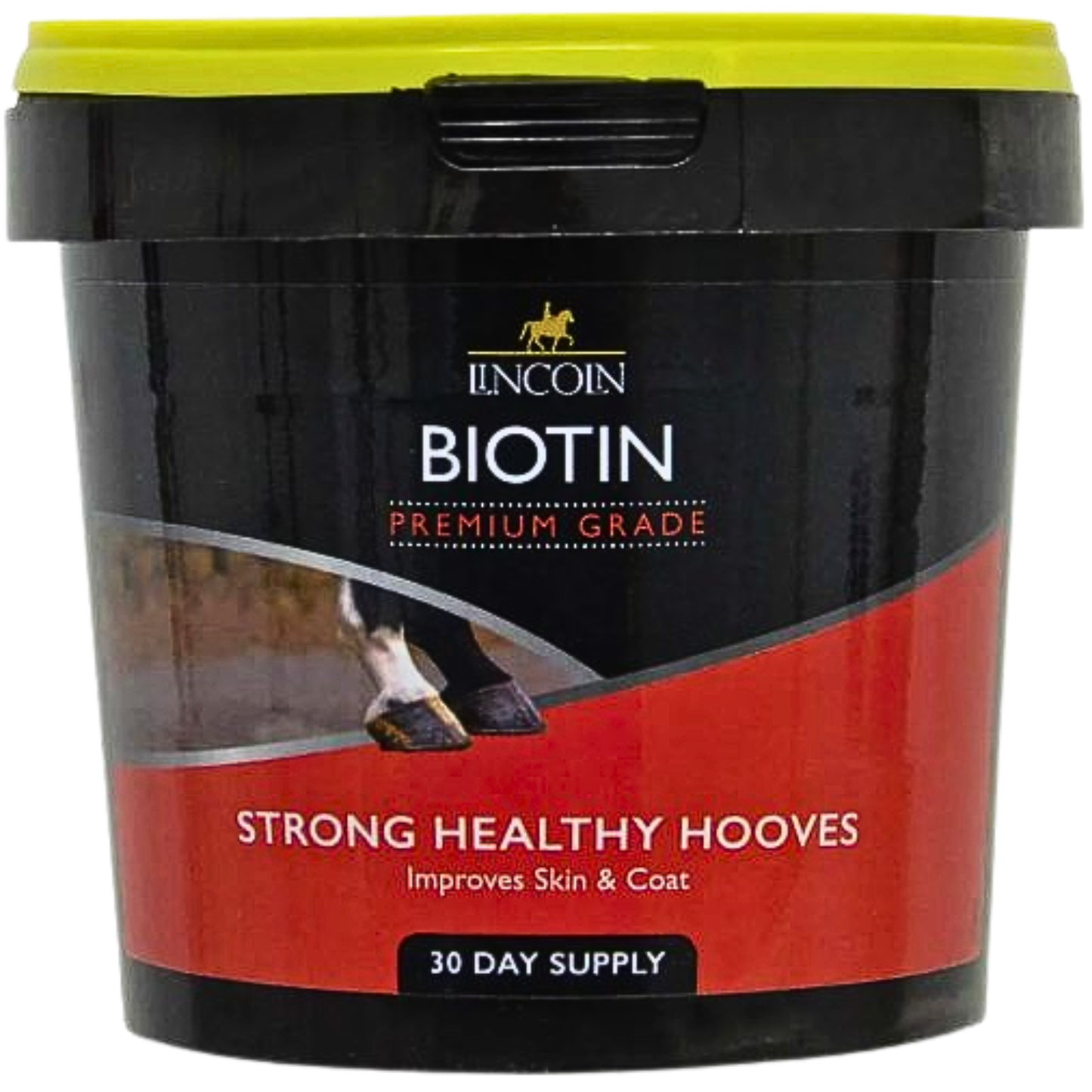 Lincoln Biotin