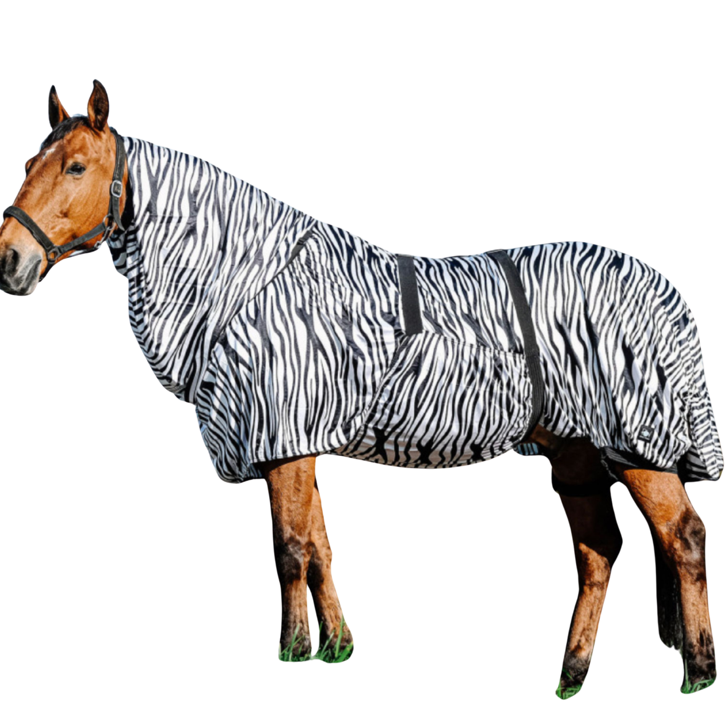 Zebra Eczema Fly Rug