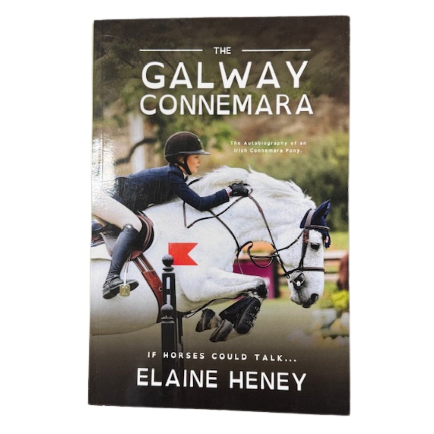 The Galway Connemara Book By Elaine Heney (Dyslexia Friendly)