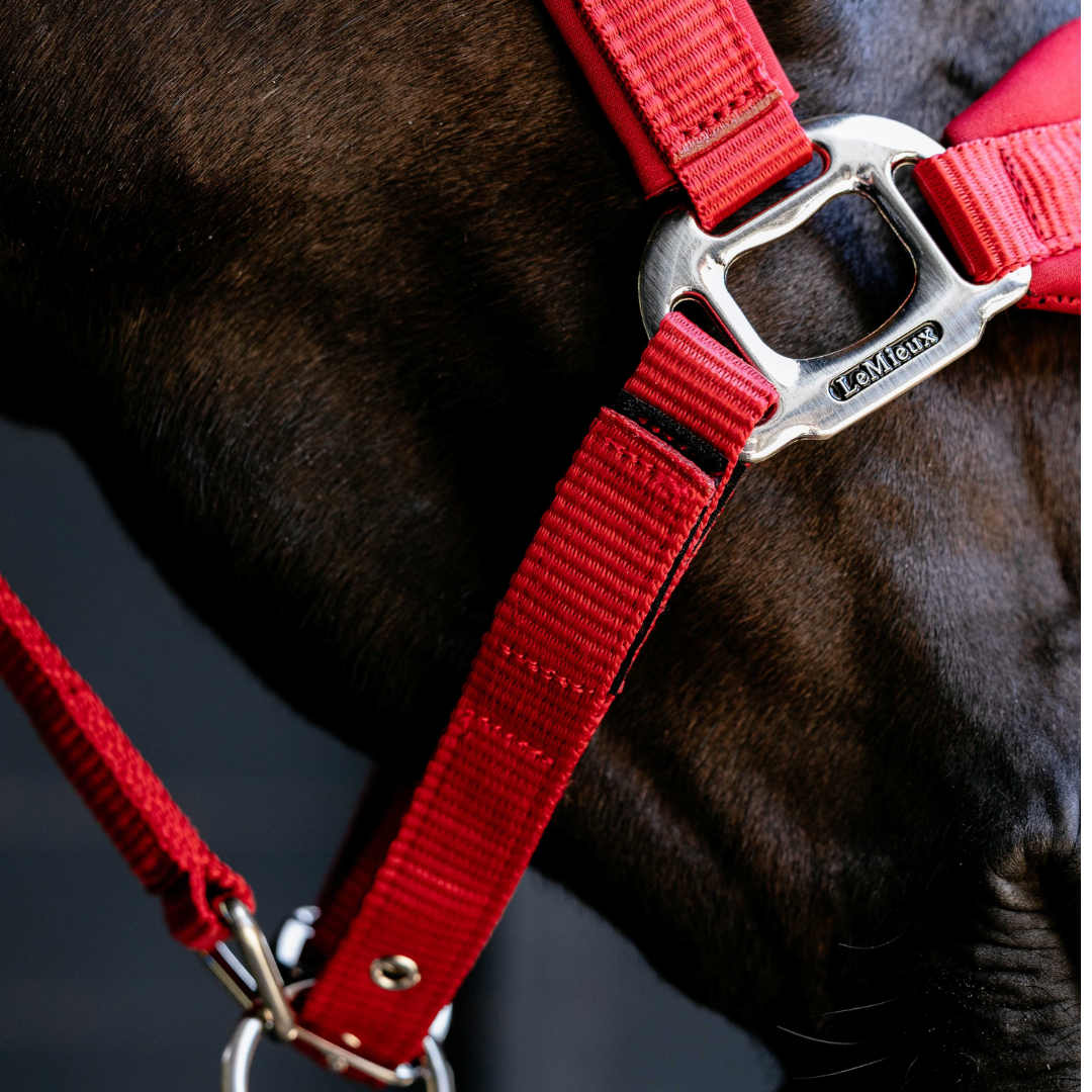 LeMieux Breakaway Vogue Halter