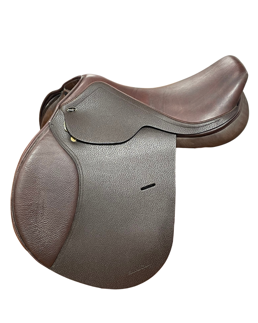 SANTA CRUZ CELINE