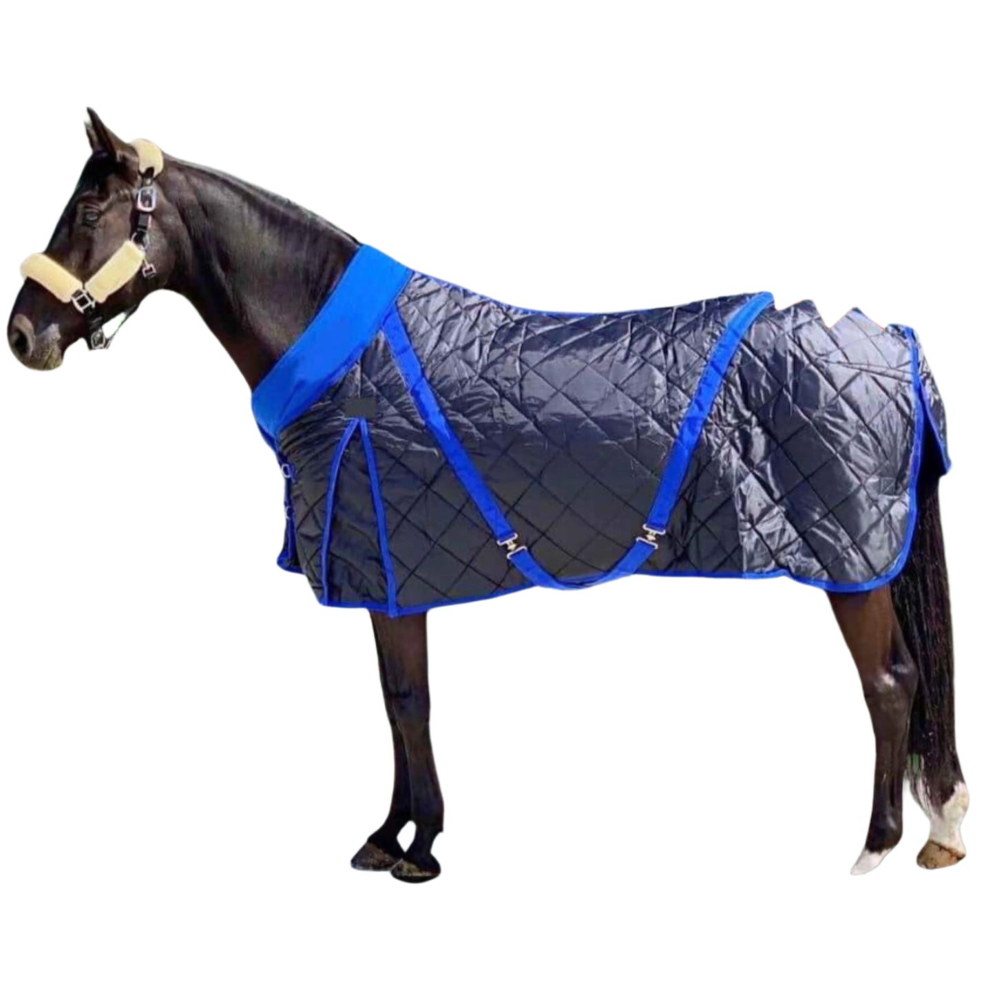 Holmestead Lux Stable Rug 300g