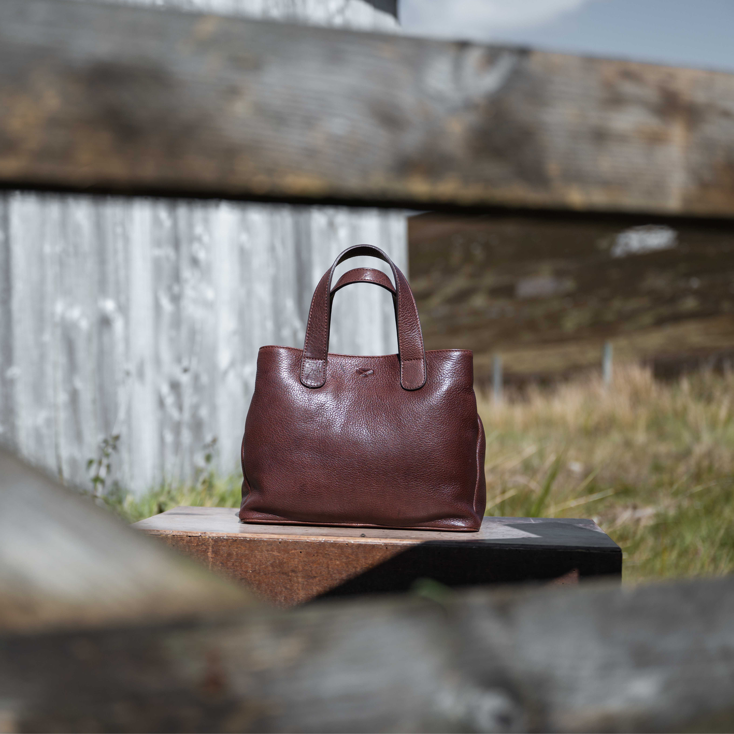 Hoggs Of Fife Monarch Leather Handbag
