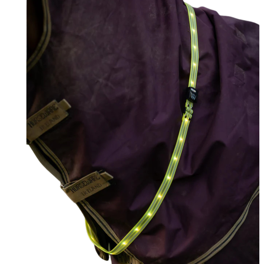 Woof Wear LED Sash
