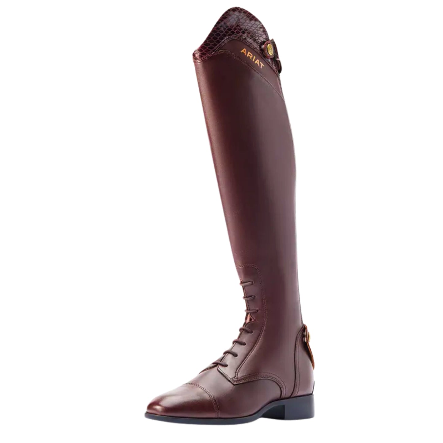 Ariat Palisade Ellipse Tall Riding Boot Women's (Short Height)