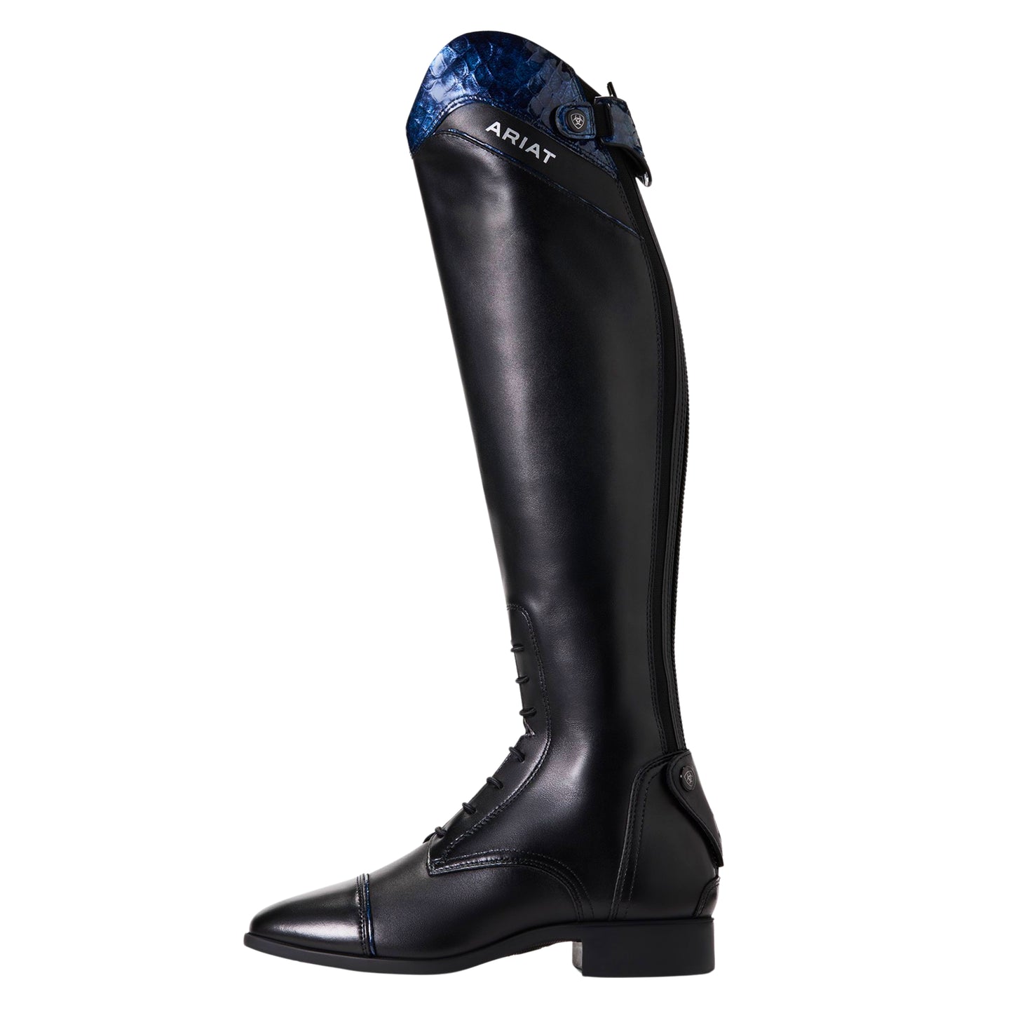 Ariat Palisade Ellipse Tall Riding Boot Women's (Short Height)