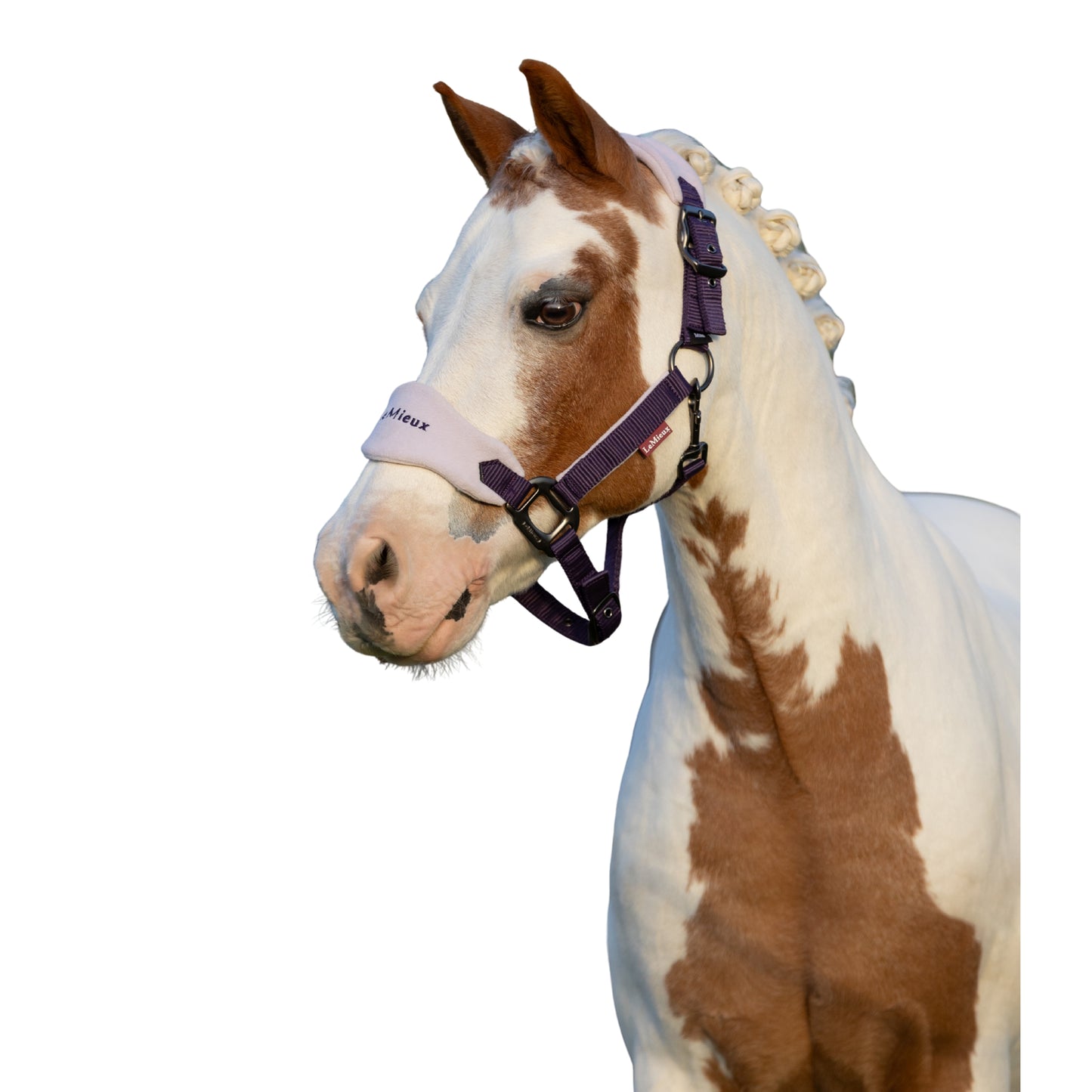 LeMieux Mini Vogue Headcollar & Leadrope AU25