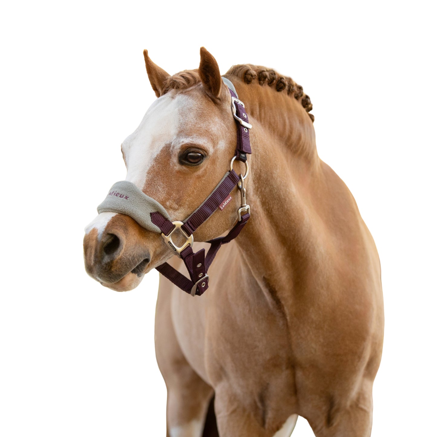 LeMieux Mini Vogue Headcollar & Leadrope AU25