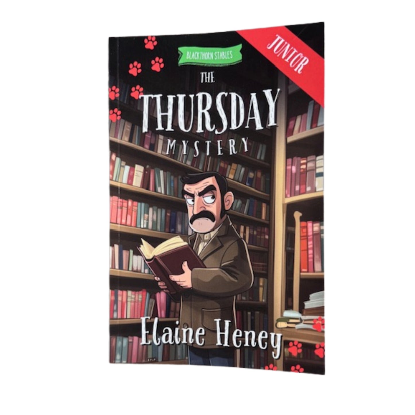 Blackthorn Stables Junior Book Series By Elaine Heney ( Dyslexia Friendly)