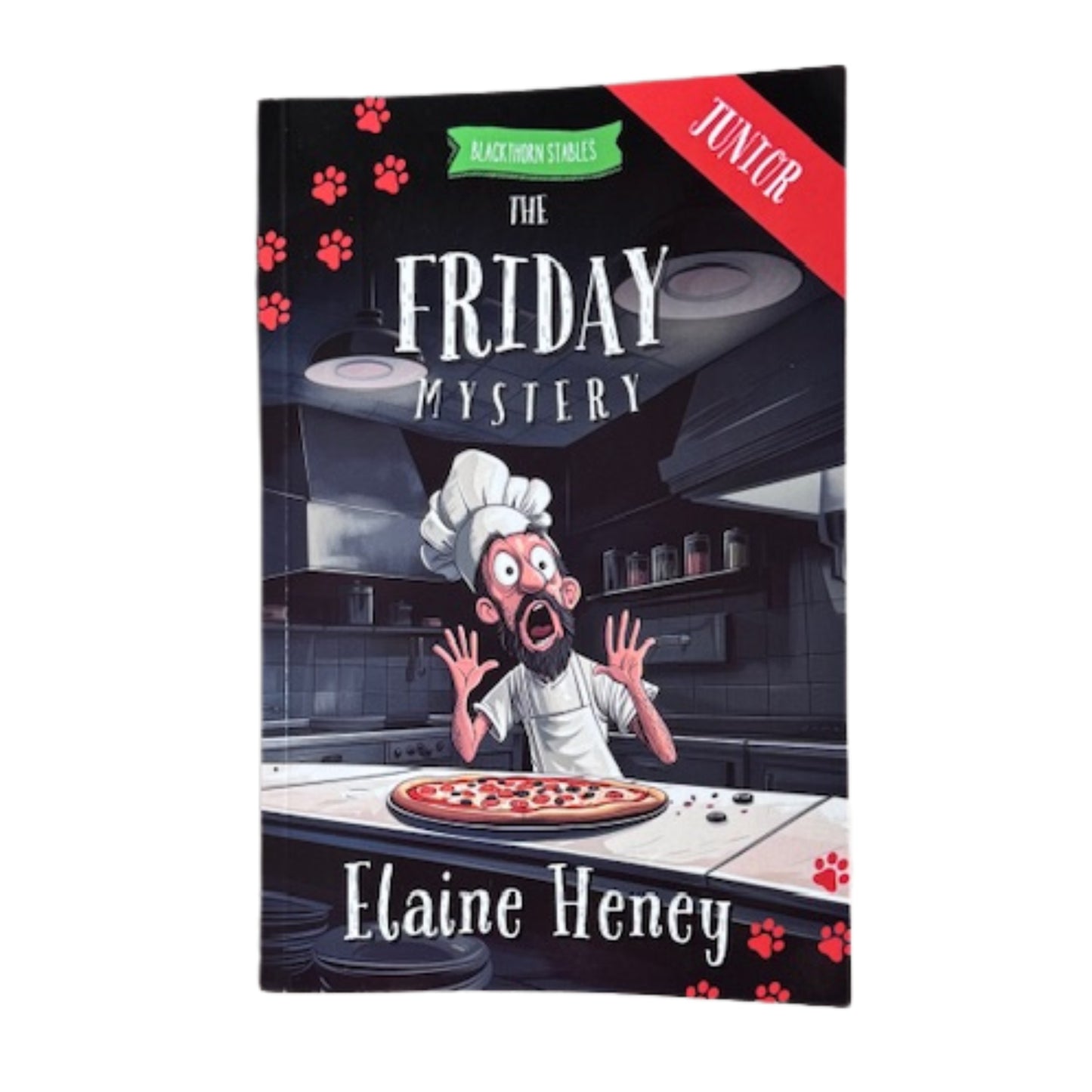 Blackthorn Stables Junior Book Series By Elaine Heney ( Dyslexia Friendly)