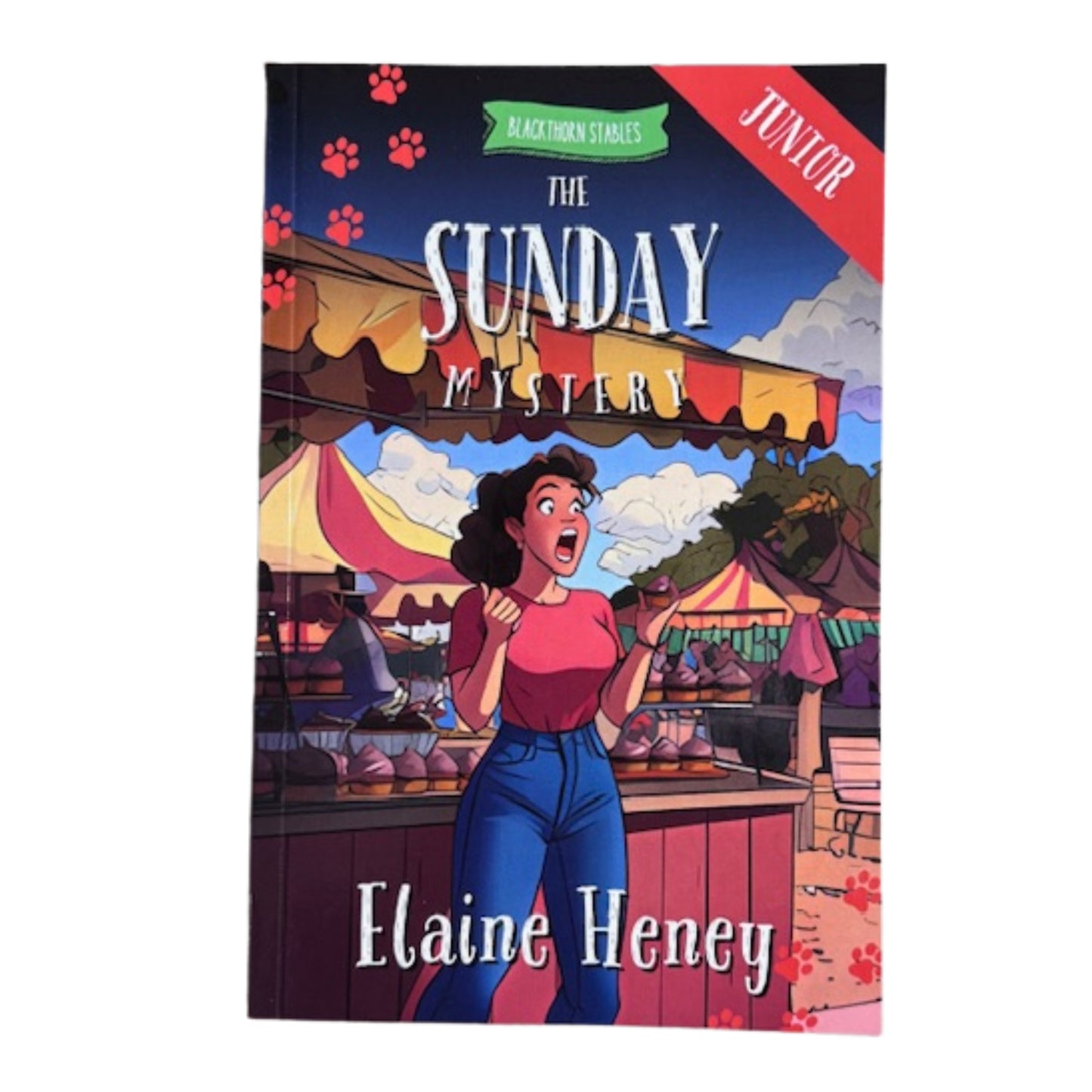 Blackthorn Stables Junior Book Series By Elaine Heney ( Dyslexia Friendly)