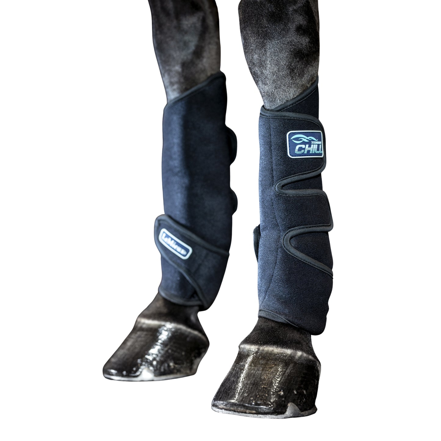 LeMieux Chill Tendon Boots