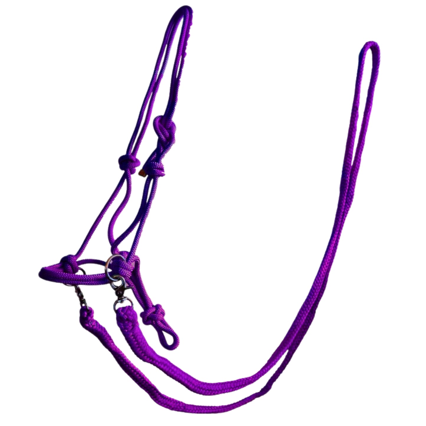 Rope Halter with Reins