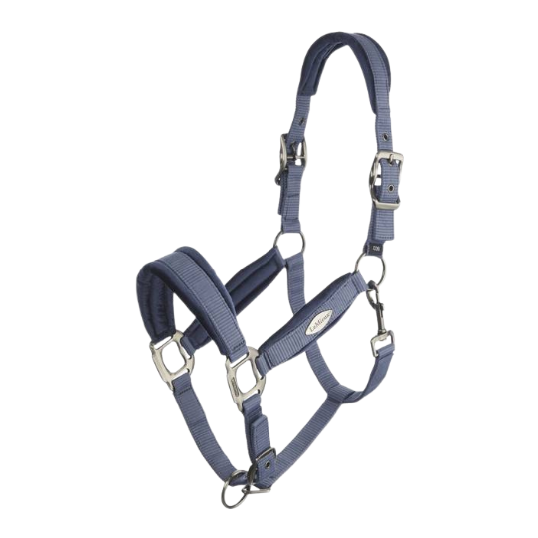 Lemieux Versailles Headcollar
