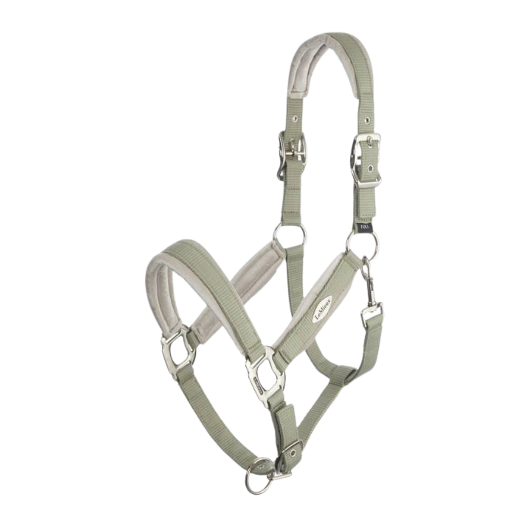Lemieux Versailles Headcollar