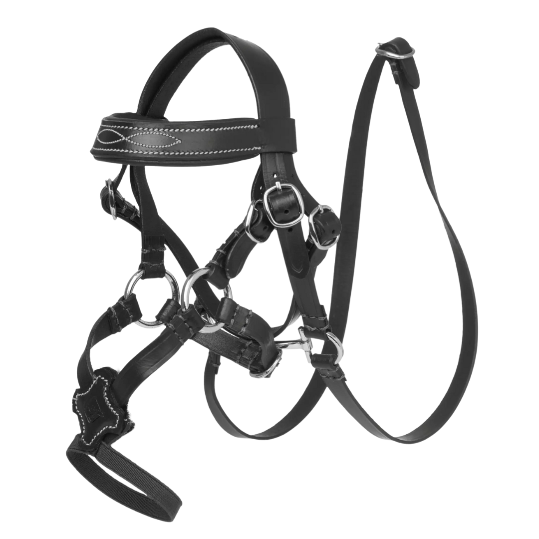 LeMieux Toy Pony Grackle Bridle