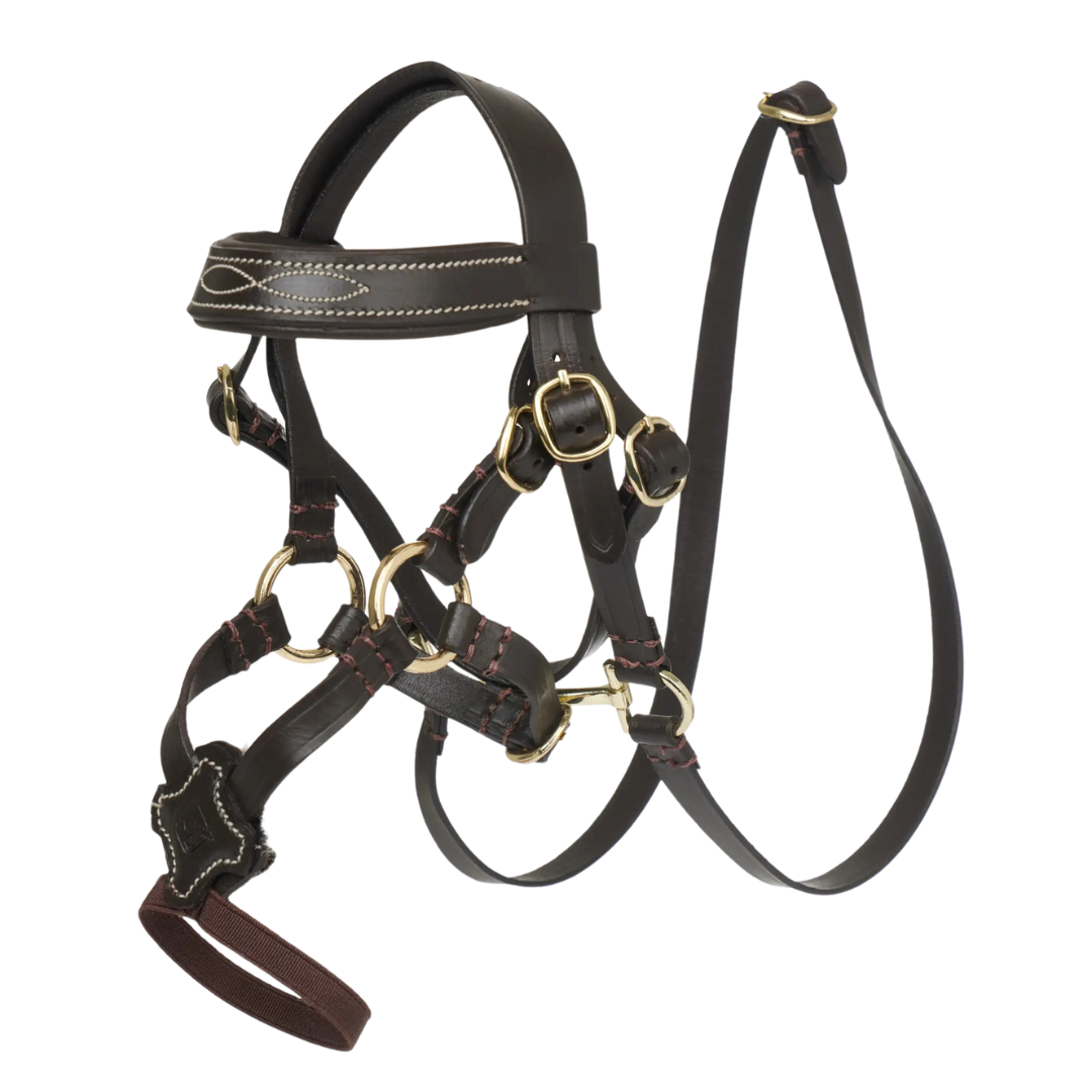 LeMieux Toy Pony Grackle Bridle