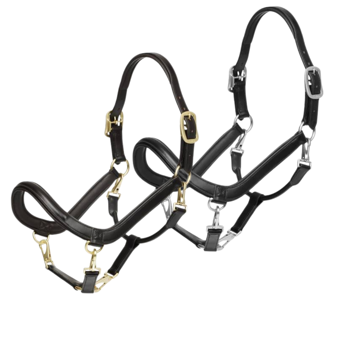 Lemieux Leather Grooming Headcollar