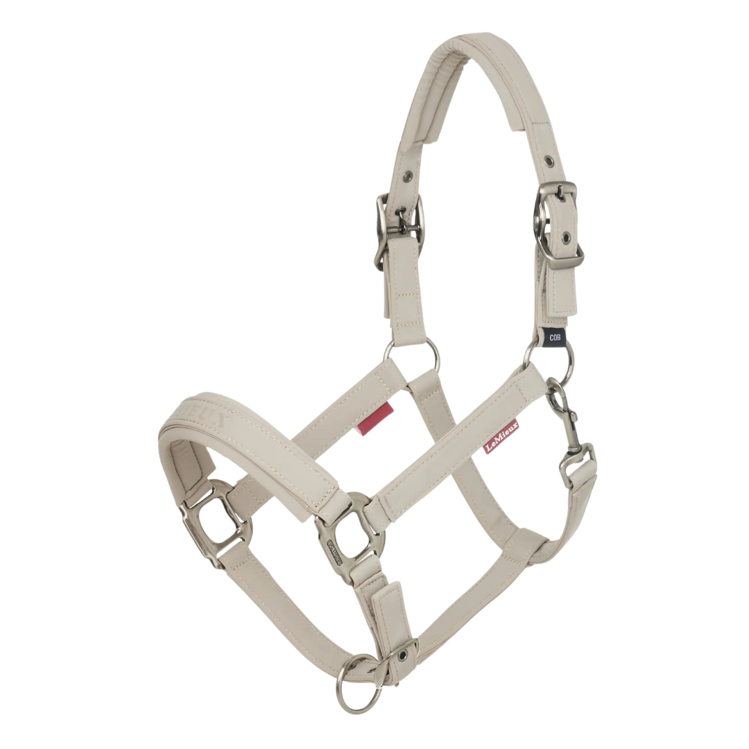 LeMieux Essence Headcollar SS25