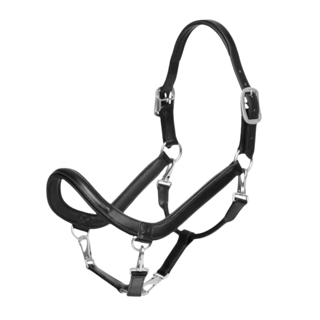 Lemieux Leather Grooming Headcollar