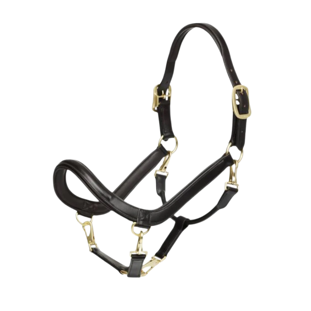 Lemieux Leather Grooming Headcollar