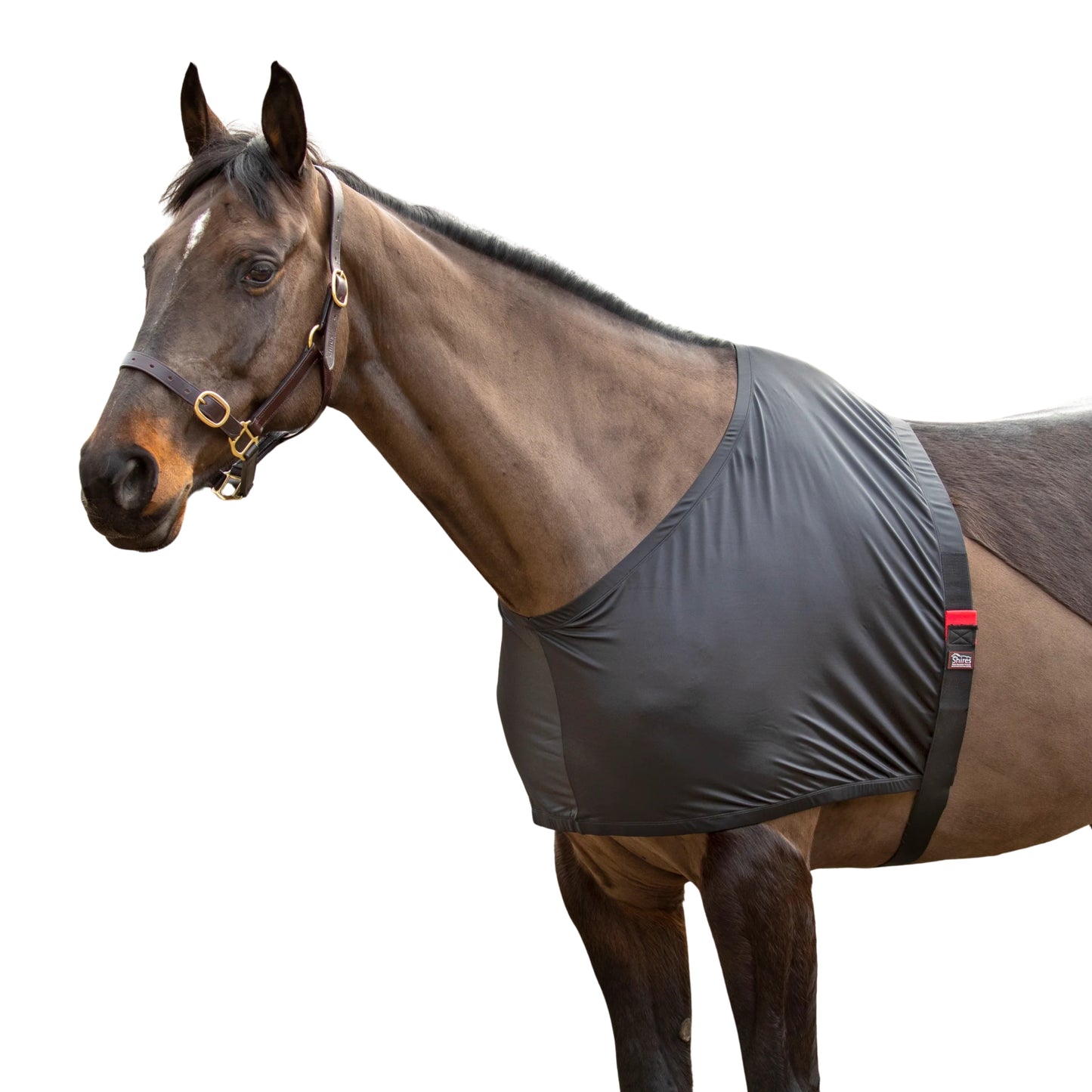Shires Anti-Rub Stretch Vest
