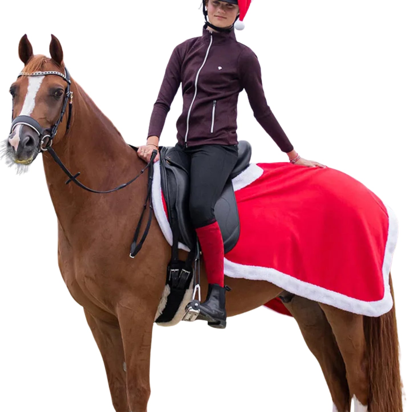 QHP Christmas Exercise Sheet