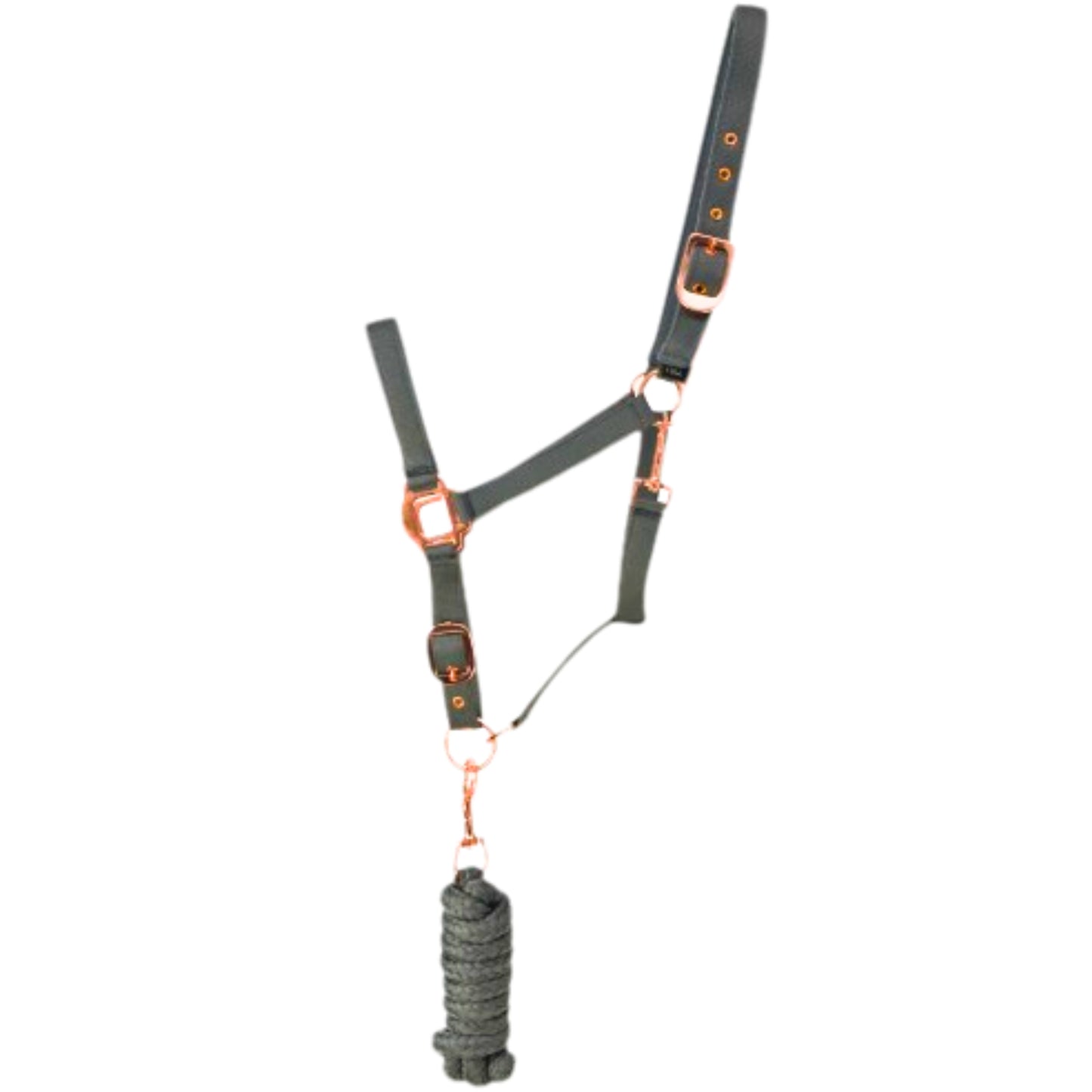 Rose Gold Headcollar & Leadrope
