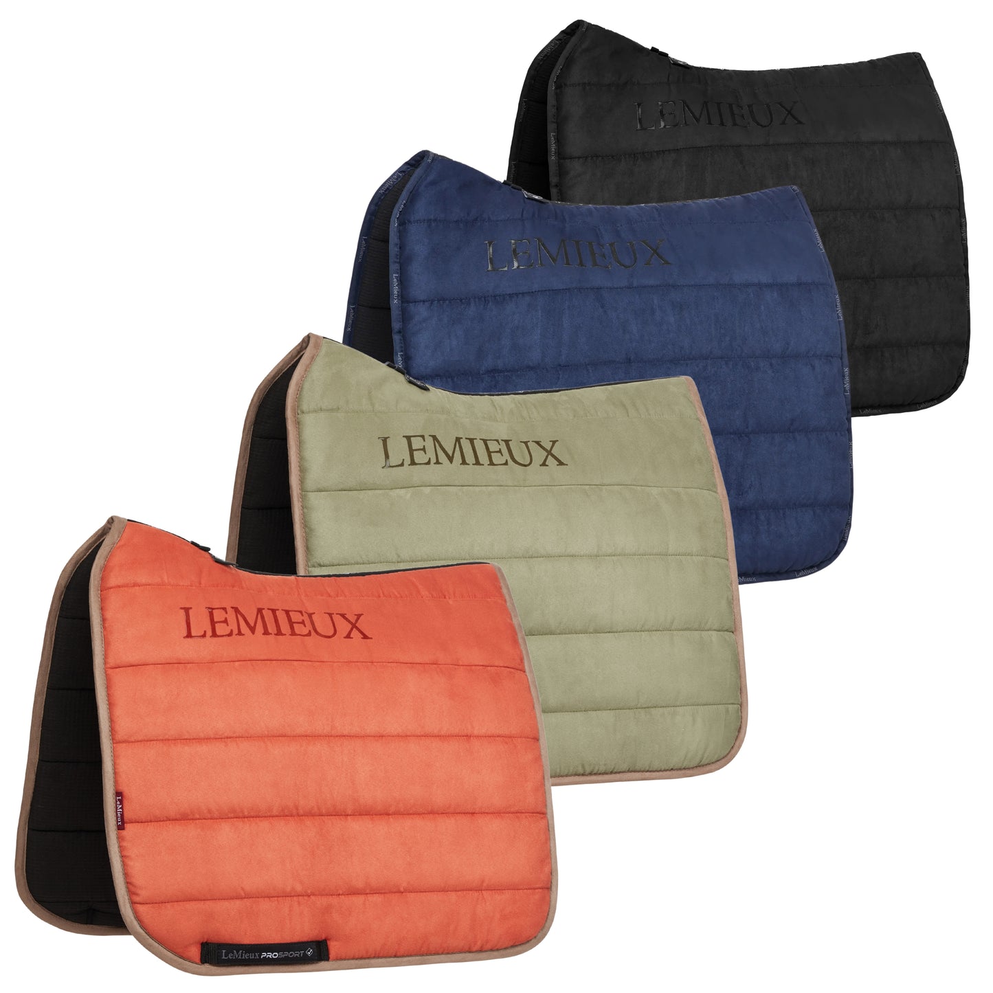 LeMieux Dressage Work Pad