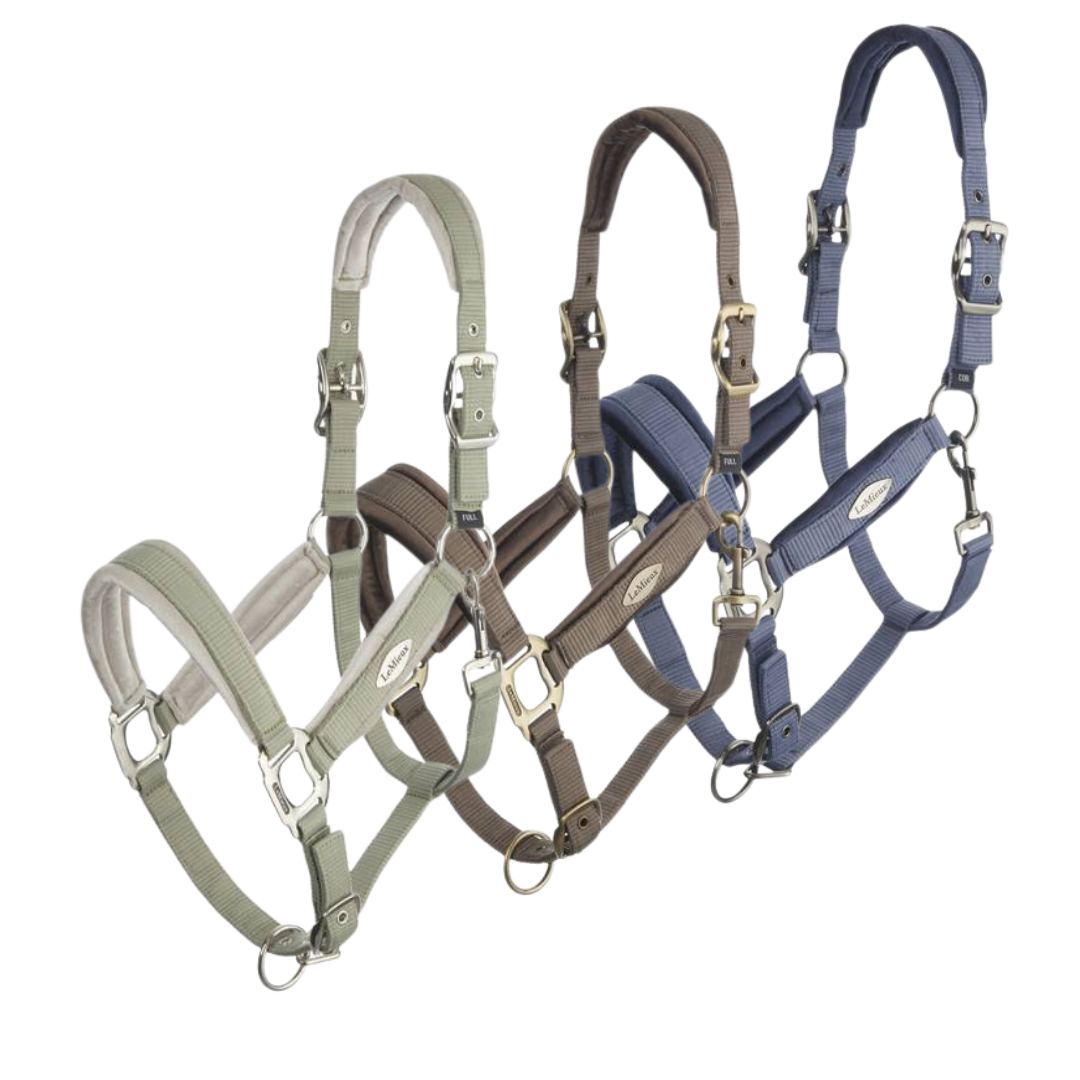 Lemieux Versailles Headcollar