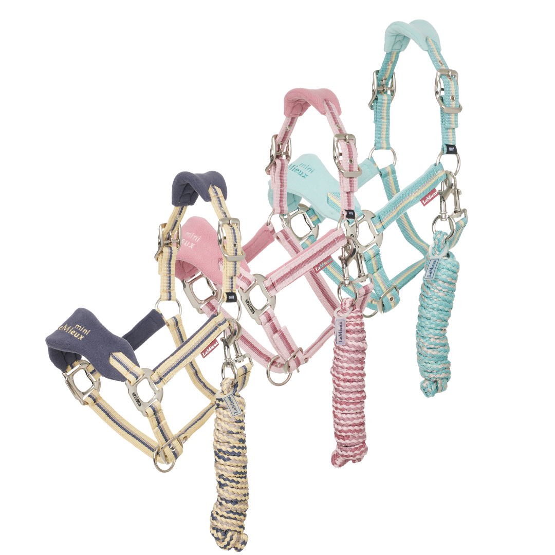 Lemieux Mini Vogue Headcollar & Leadrope SS25