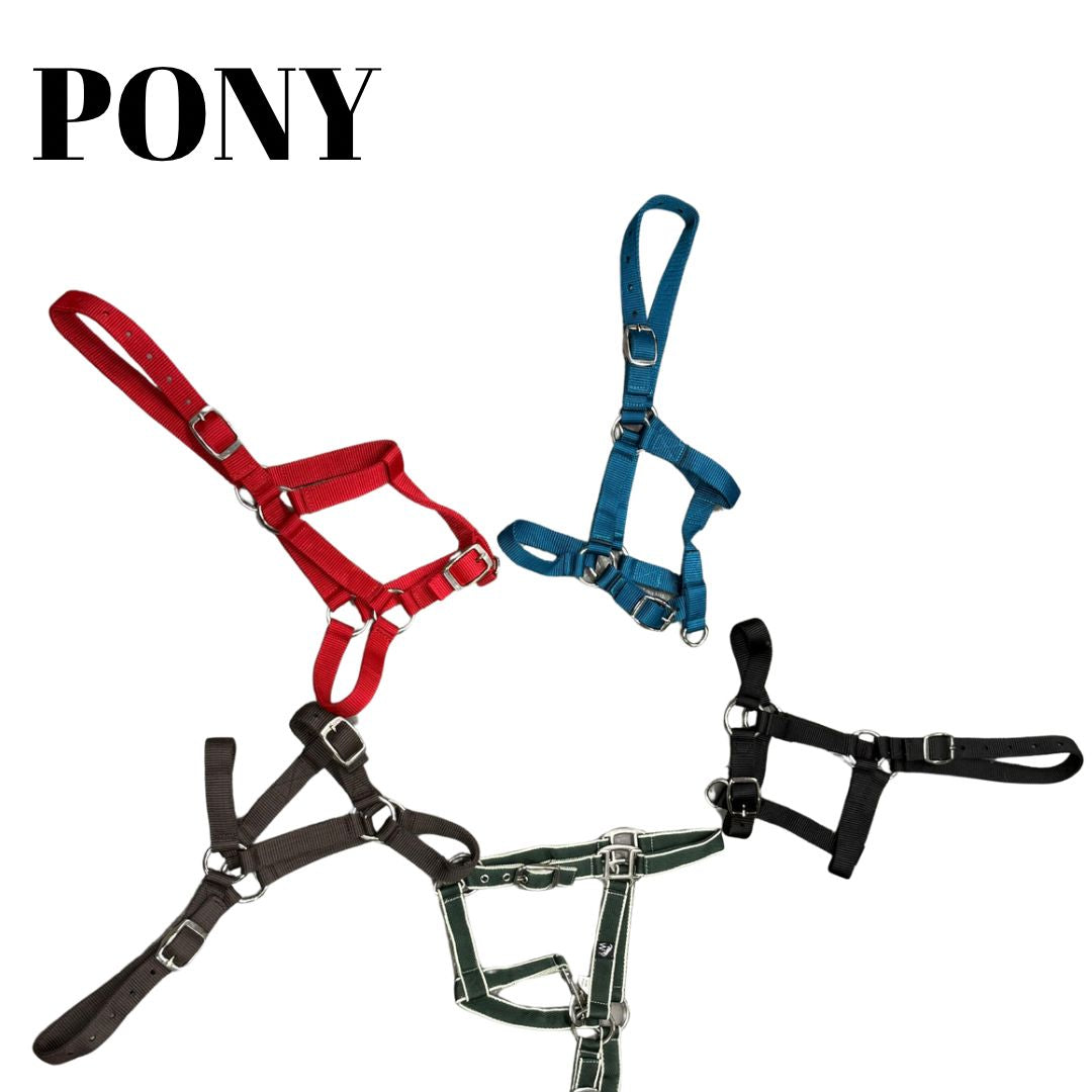 HS#0087 Pony Essencial Head Collars Pack of 5