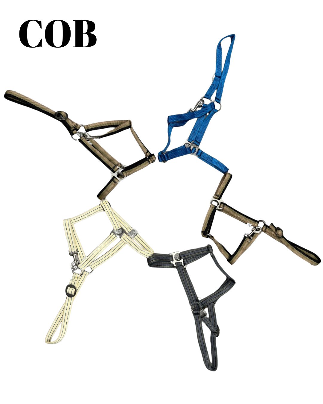 HS#0088 Cob Headcollars Pack of 5