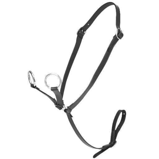 Lemieux Toy Pony Martingale