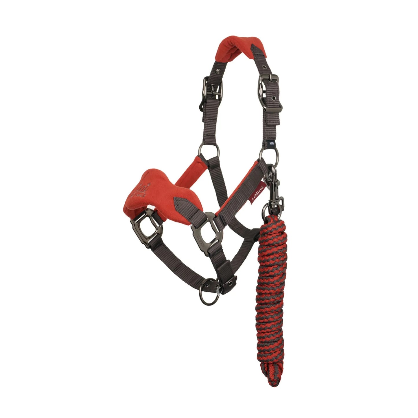#0127 Pony Lemieux Vouge Headcollar
