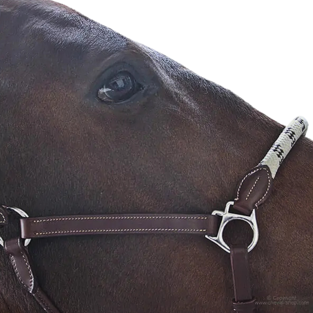 Stationata leather Rope headcollar
