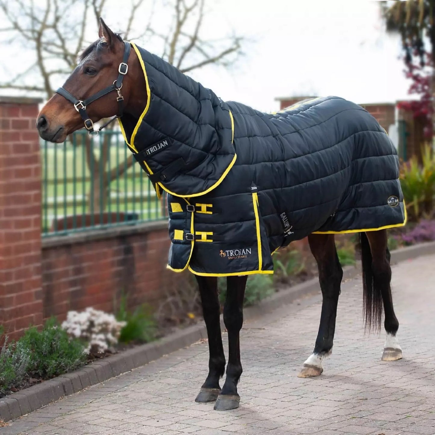 HS#2007 Gallop 5.3" Trojan Stable Combo Rug
