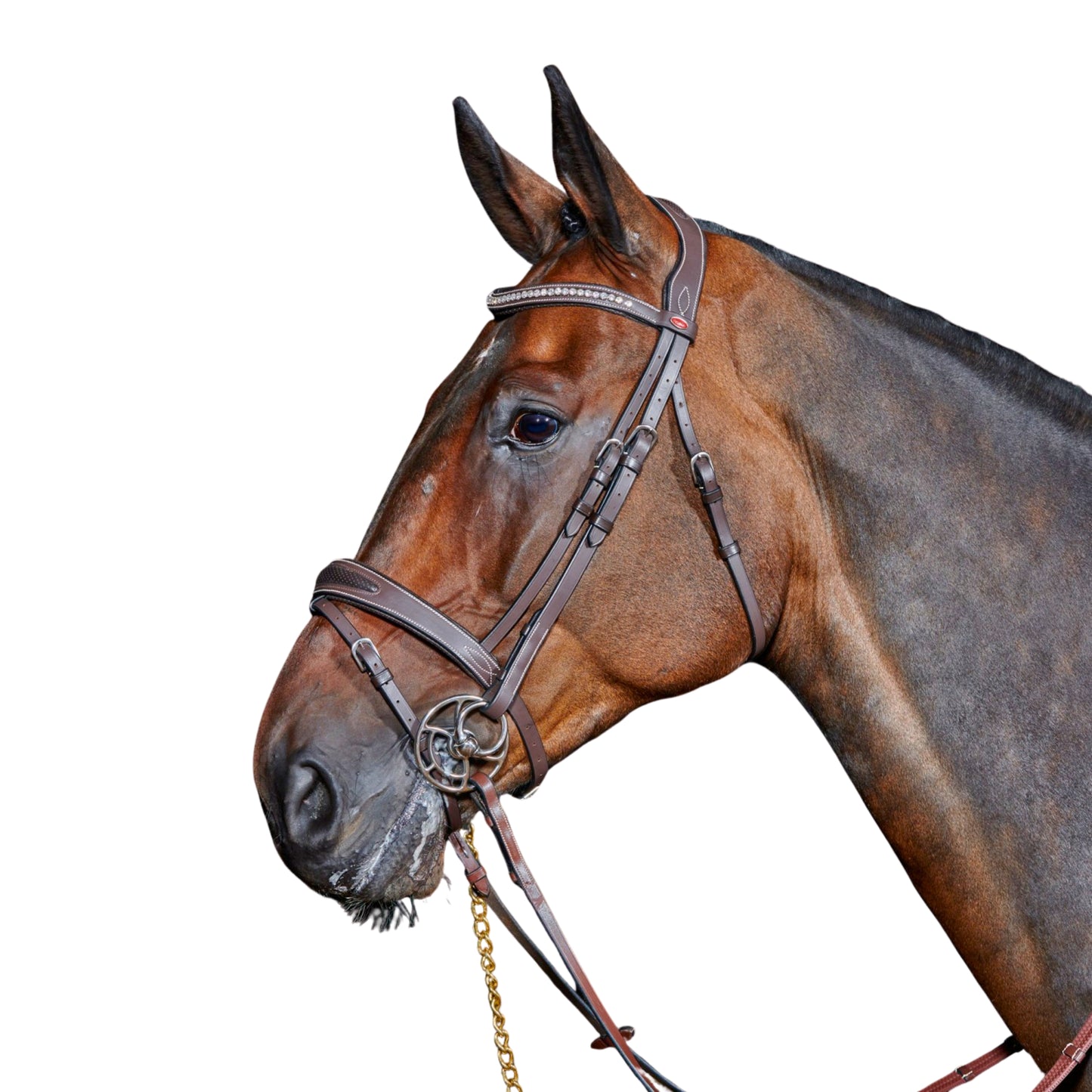 John Whitaker Chicago Bling Bridle