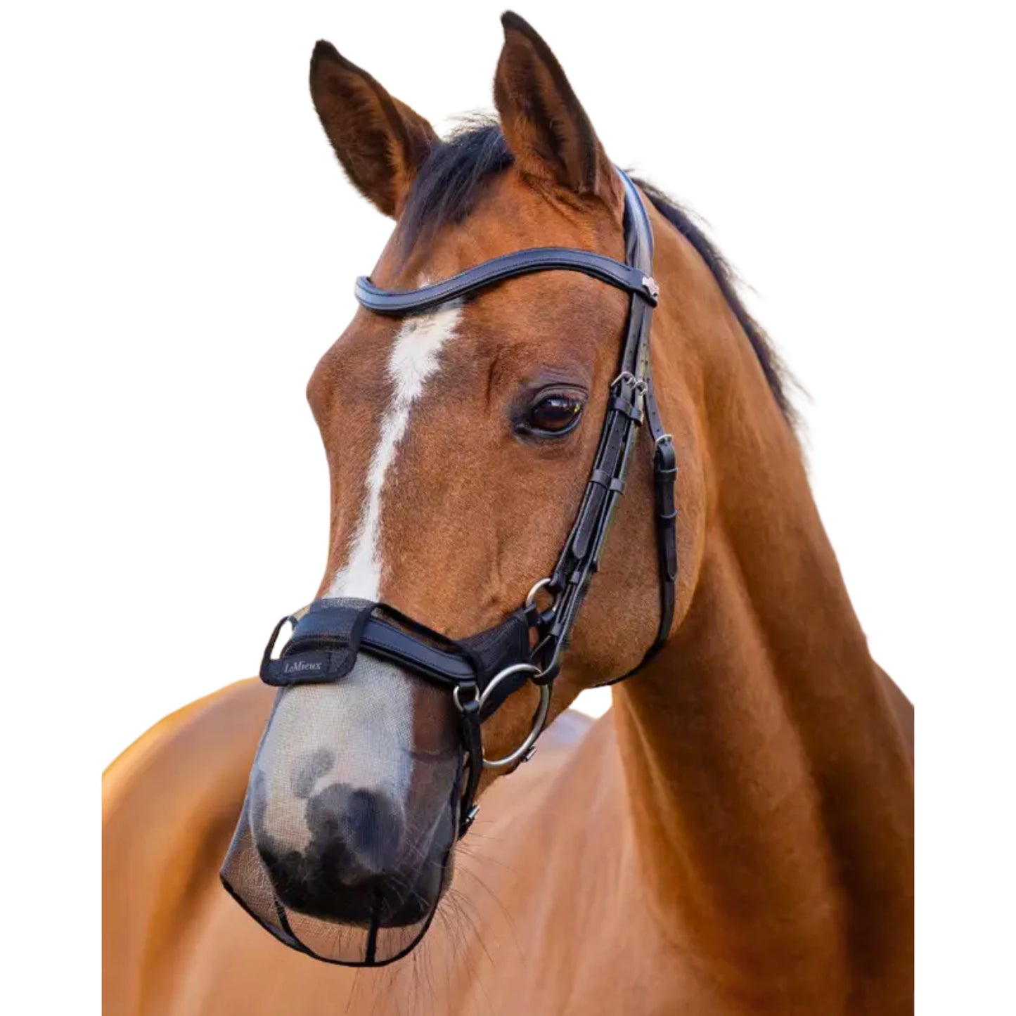 LeMieux Comfort Shield Drop Nose Filter 2PK