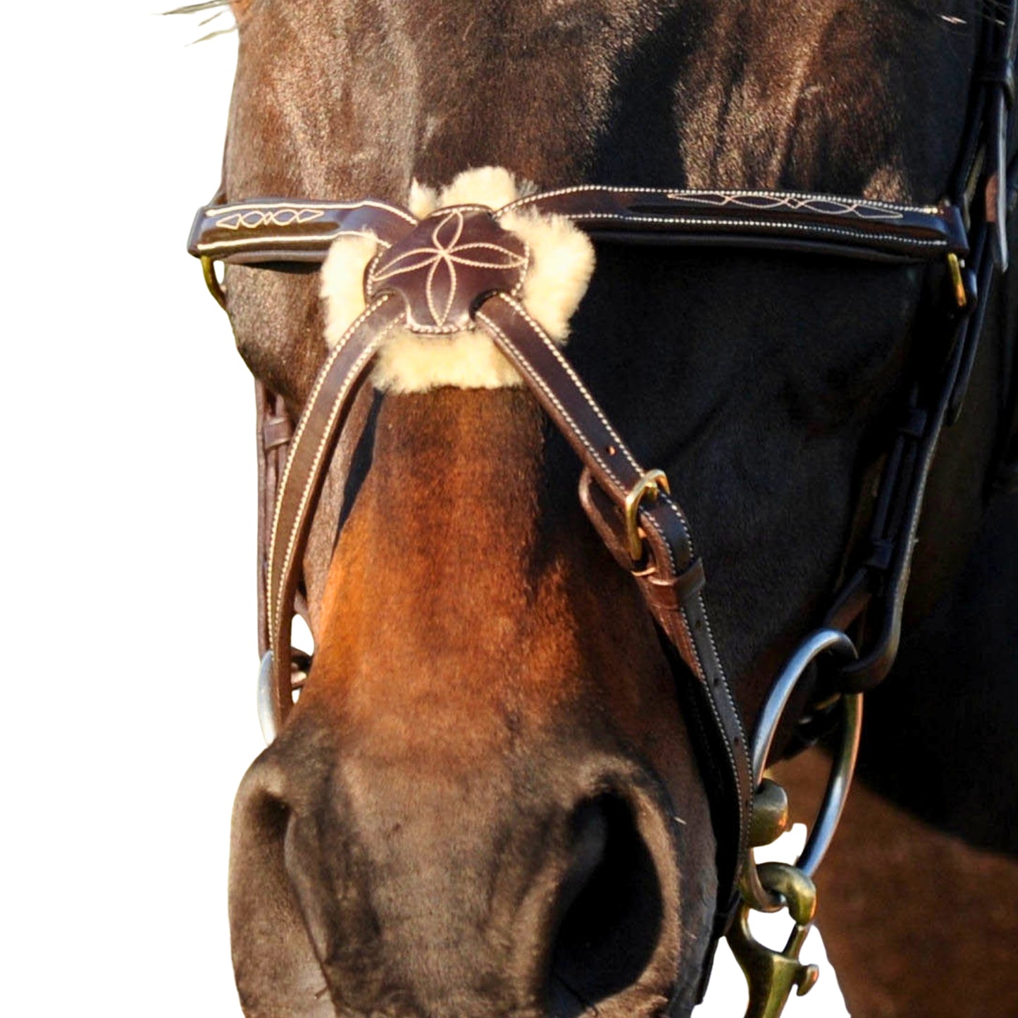 John Whitaker Valencia Mexican Bridle