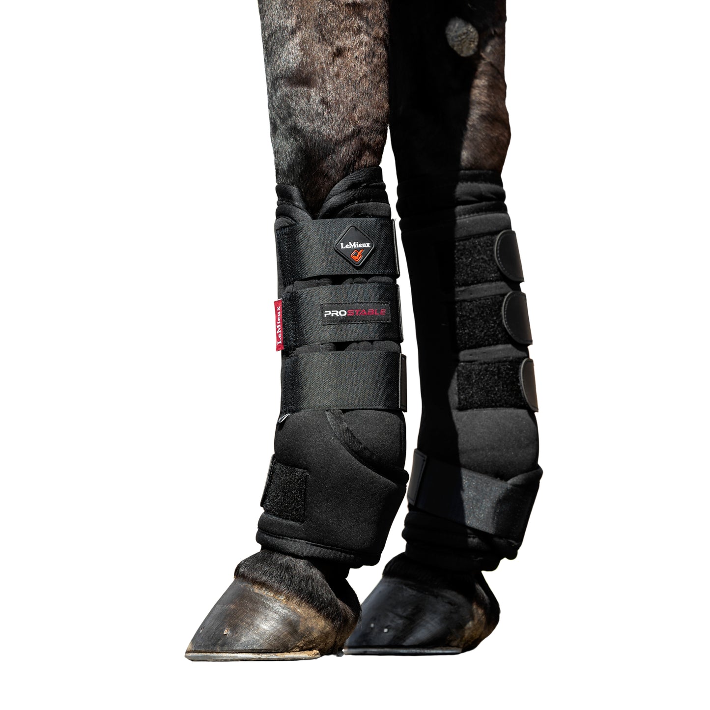 LeMieux Stable Boots