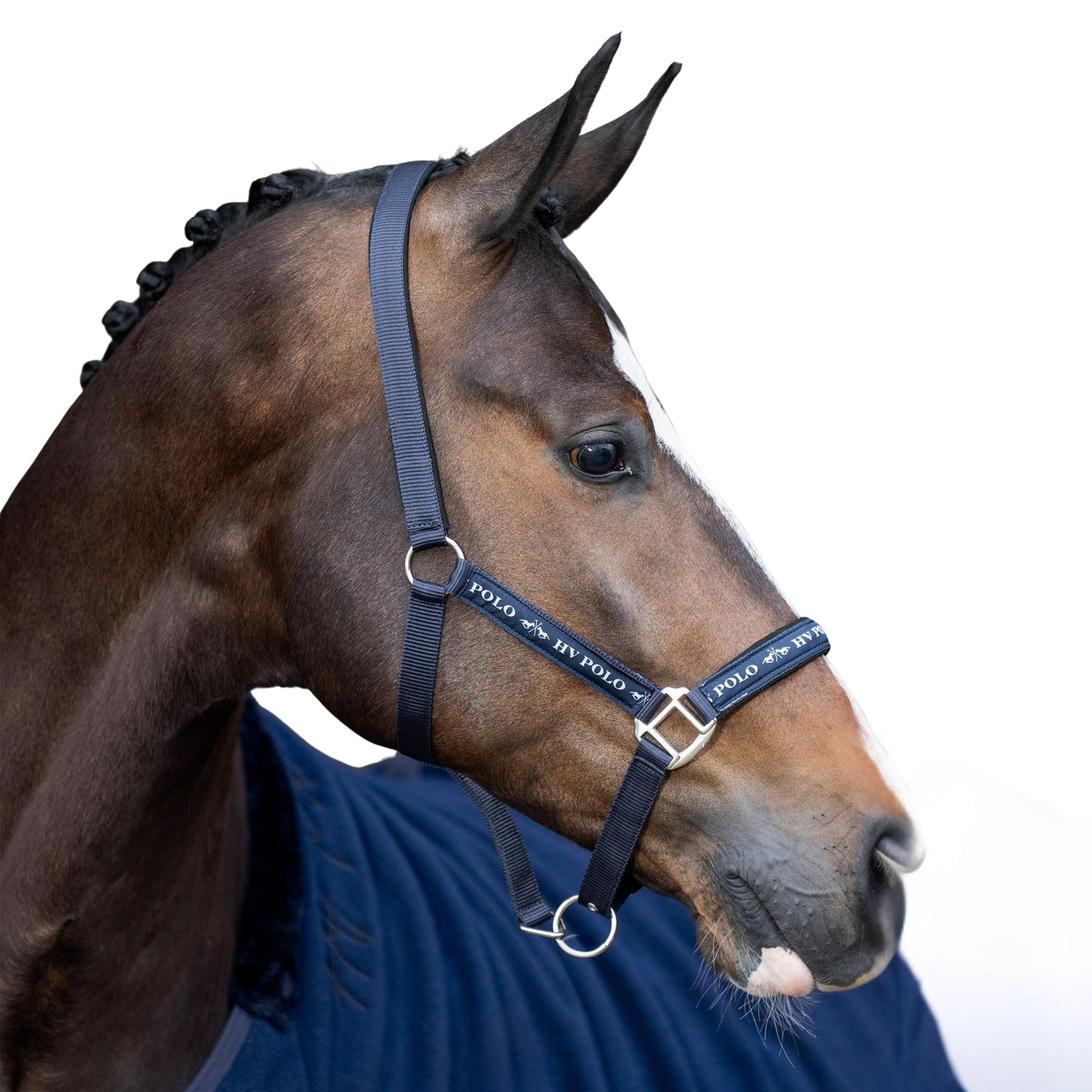 H.V. Polo Headcollar HVP Nena