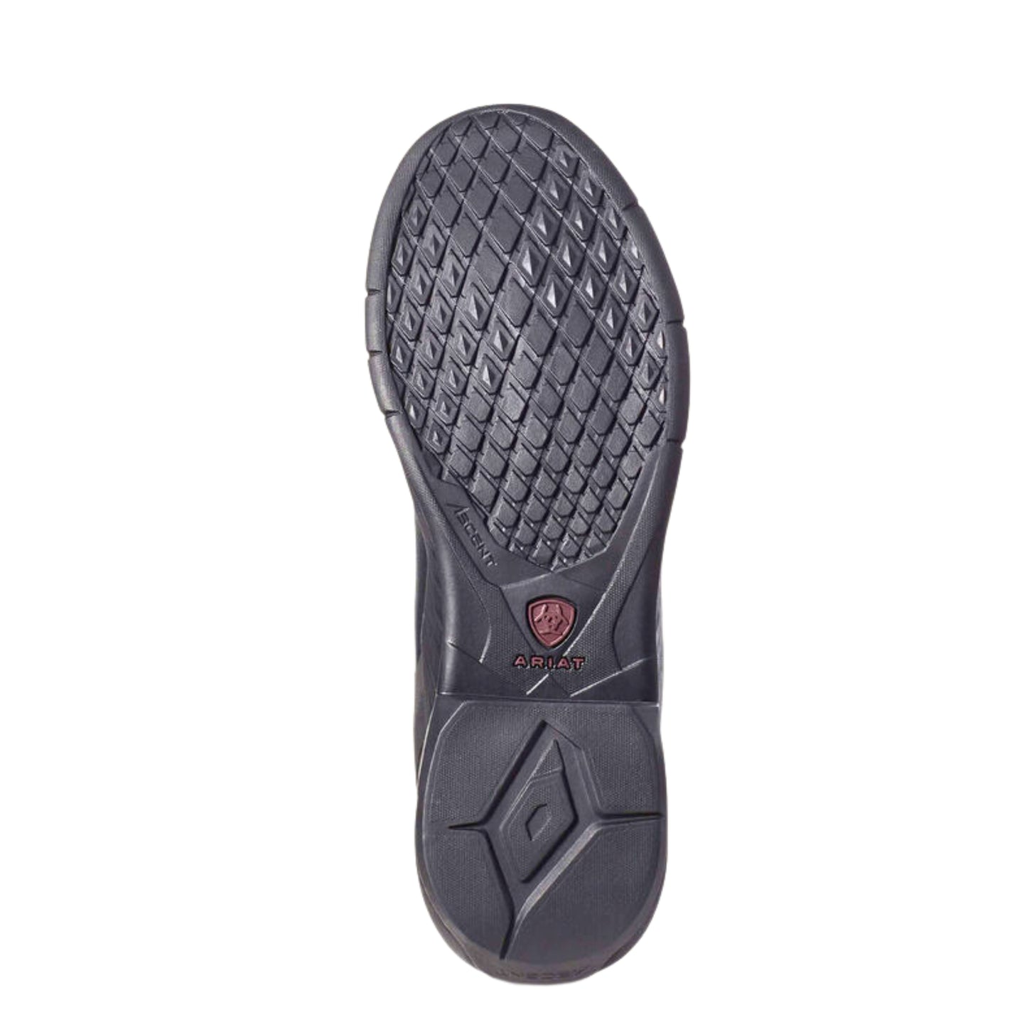 Ariat Ascent Tall Boots Women's (Short Height)