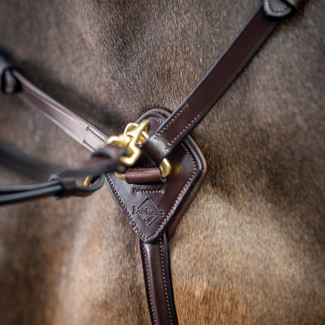 LeMieux Breastplate D-Ring Attachment