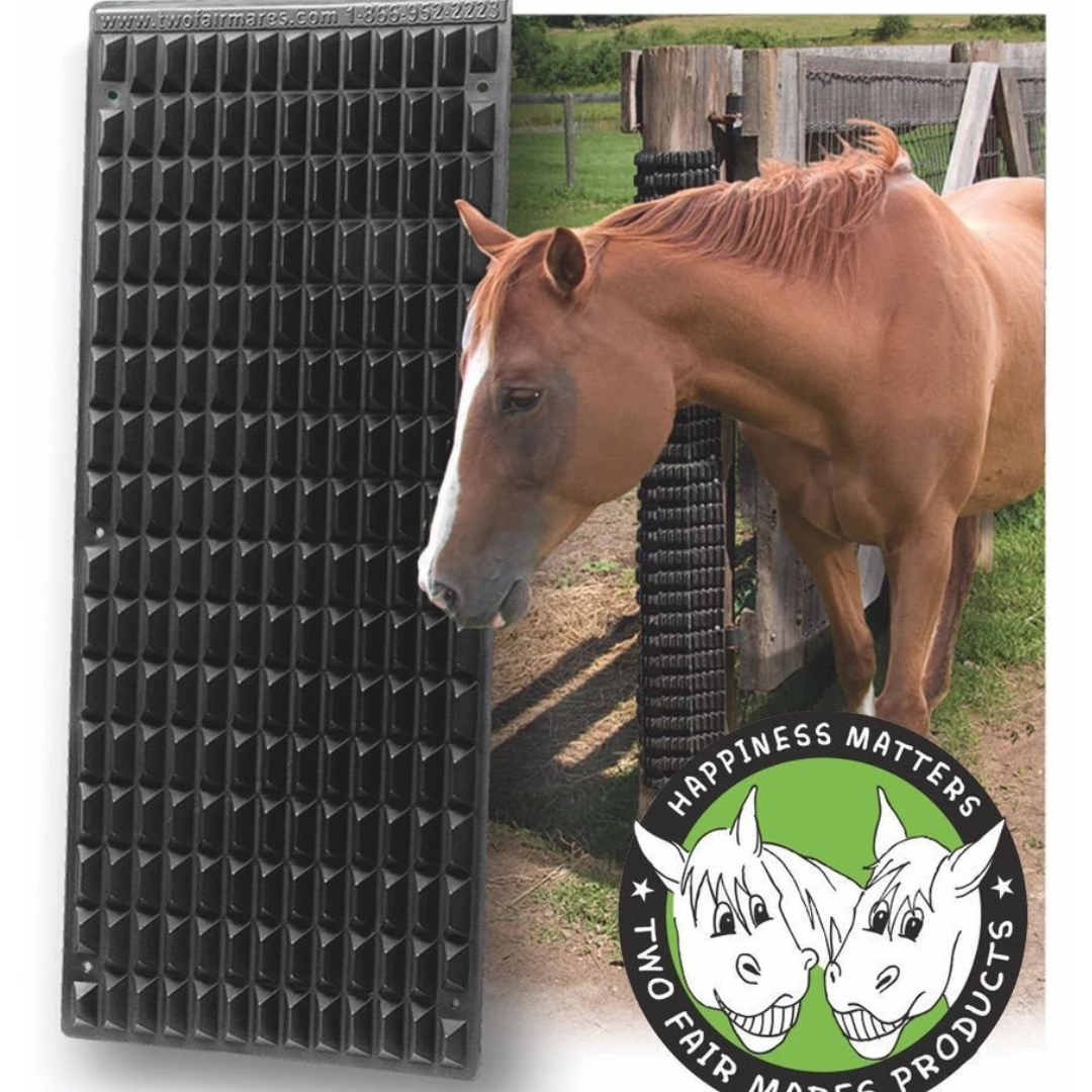 Shires Equine Scratcher Black